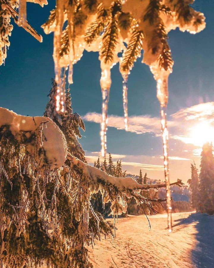 SANS Lux Apartman N42 Milmari Kopaonik Bagian luar foto