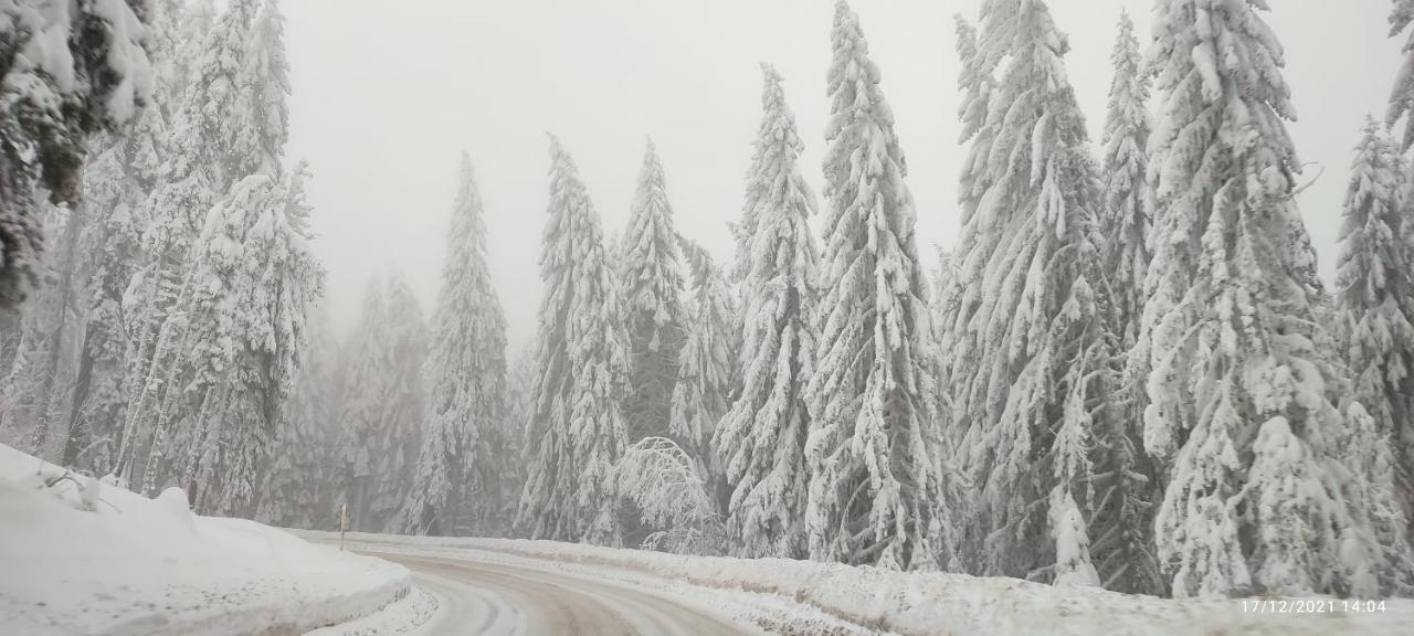 SANS Lux Apartman N42 Milmari Kopaonik Bagian luar foto