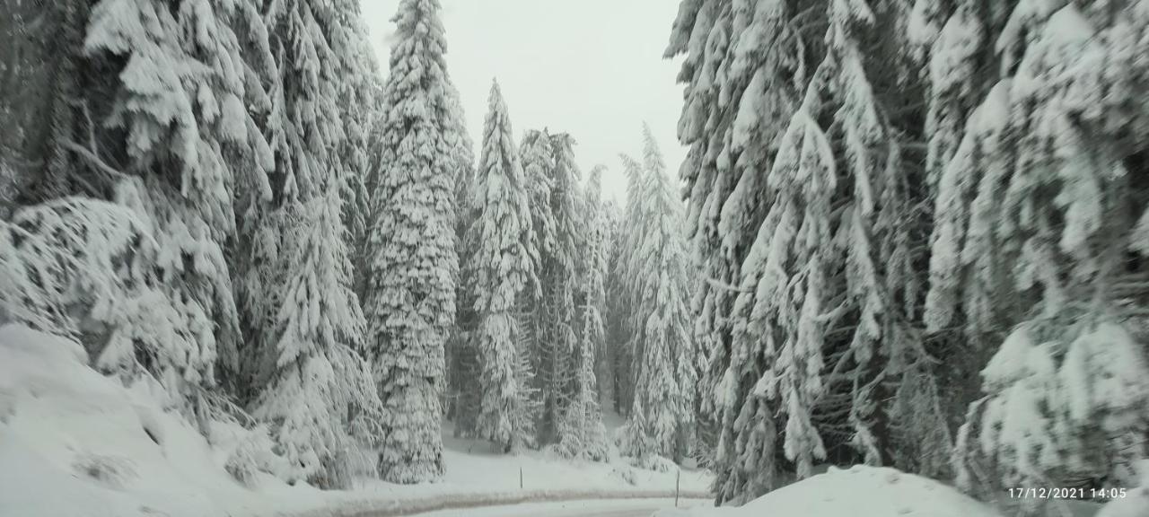 SANS Lux Apartman N42 Milmari Kopaonik Bagian luar foto