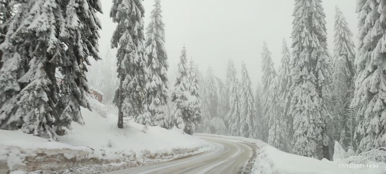 SANS Lux Apartman N42 Milmari Kopaonik Bagian luar foto